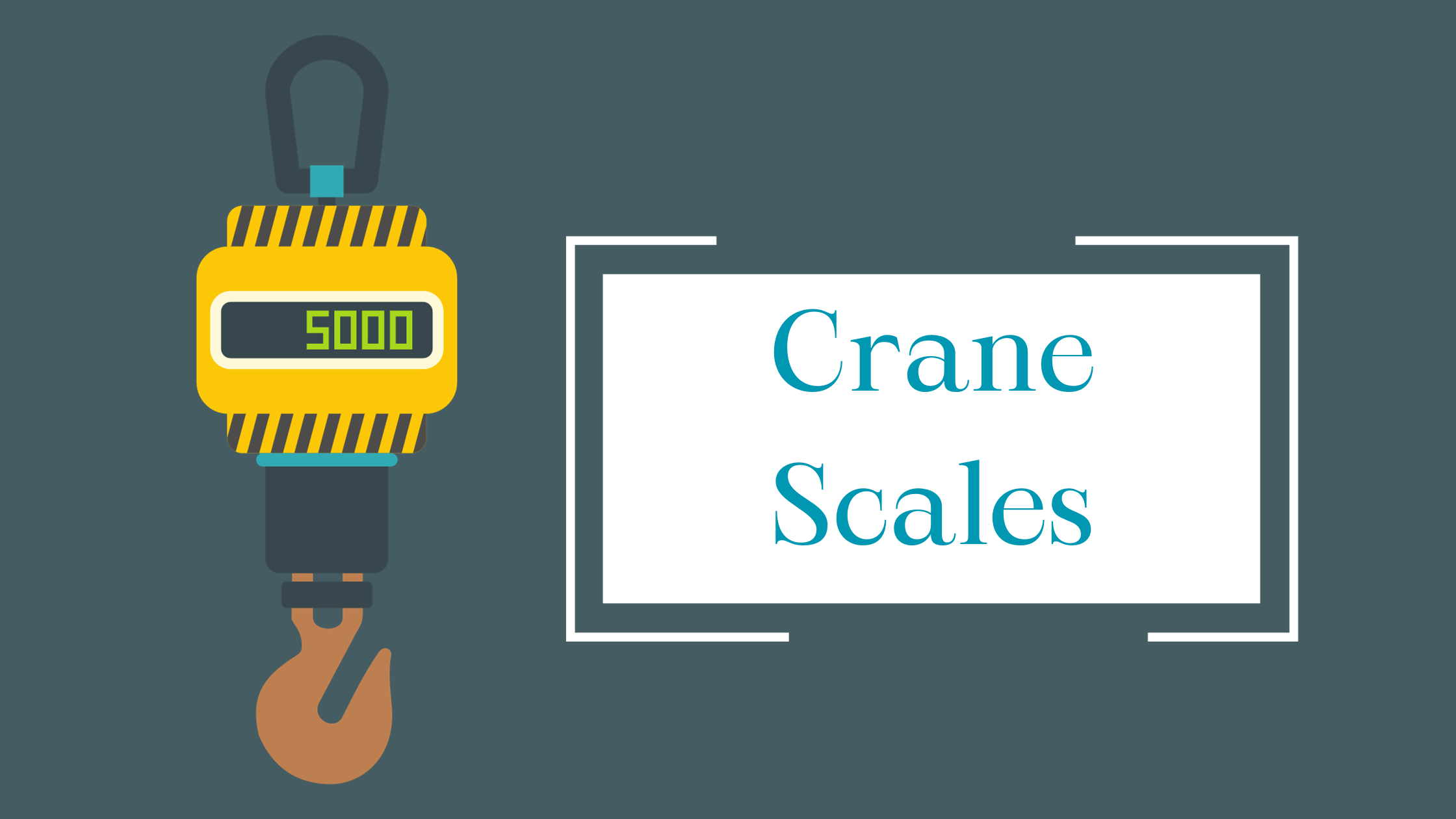 Crane Scales